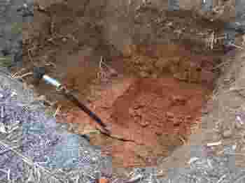 Nearing the end of the pit for planting your tree. Nearing the end of the pit for planting your tree.