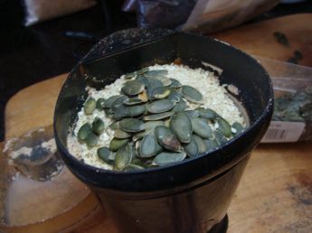 Vegan seeds for bread first go in the blender. Vegan seeds for bread first go in the blender.