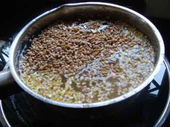 Wheat corn mash for hens Wheat corn mash for hens